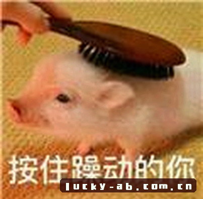 陈浩
